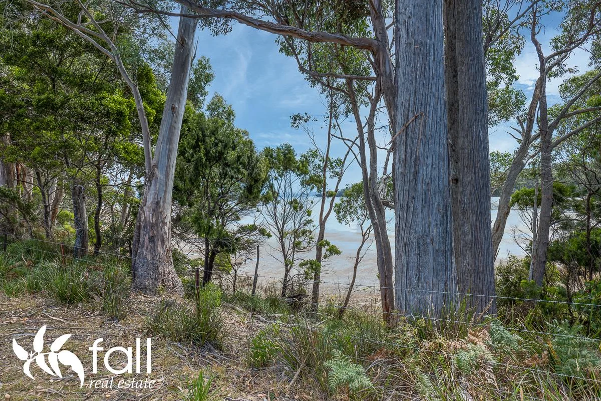 Additional image 15 of 4526 Bruny Island Main Road, Lunawanna TAS 7150