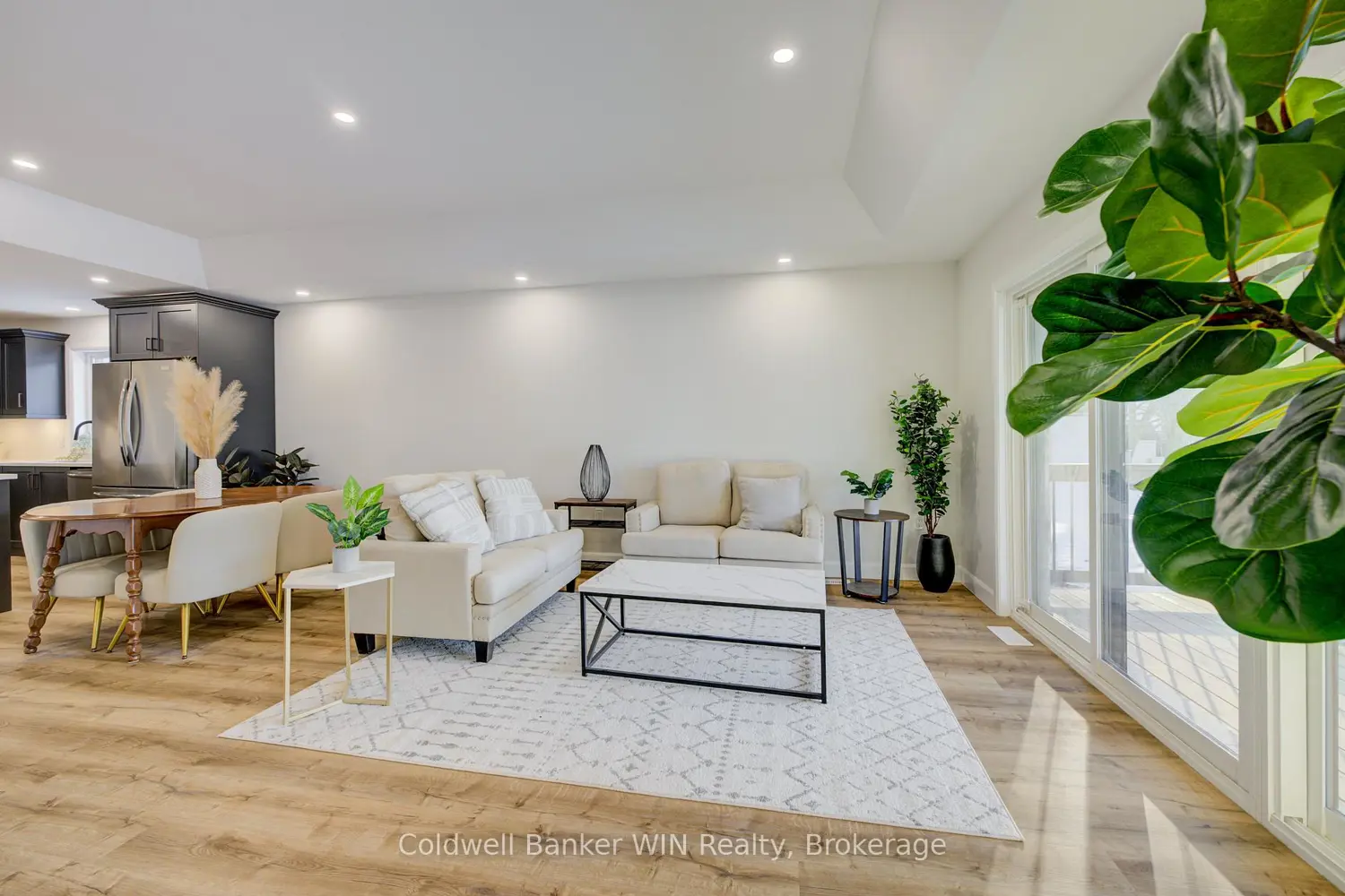 Additional image 10 of 217 Elgin Street