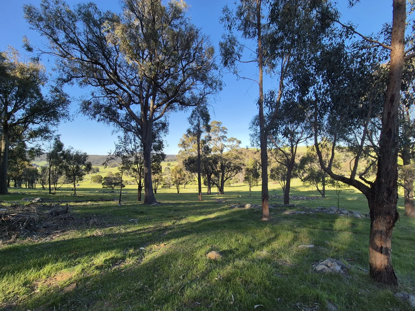 Additional image 51 of 665 Fernhills Road, Marraweeney VIC 3669