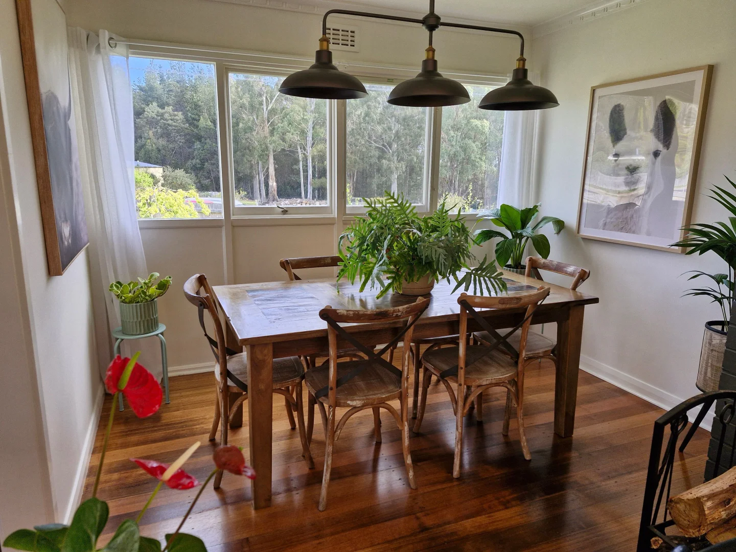 Additional image 17 of 41 Gray Road, St Marys TAS 7215