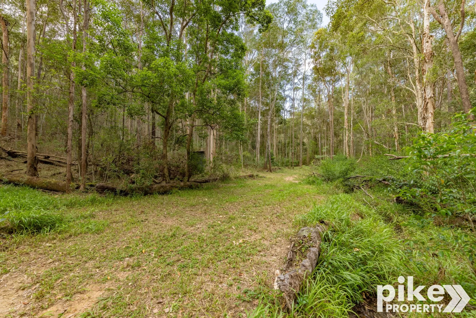 Additional image 46 of 116 W Lindsay Road, Wamuran QLD 4512