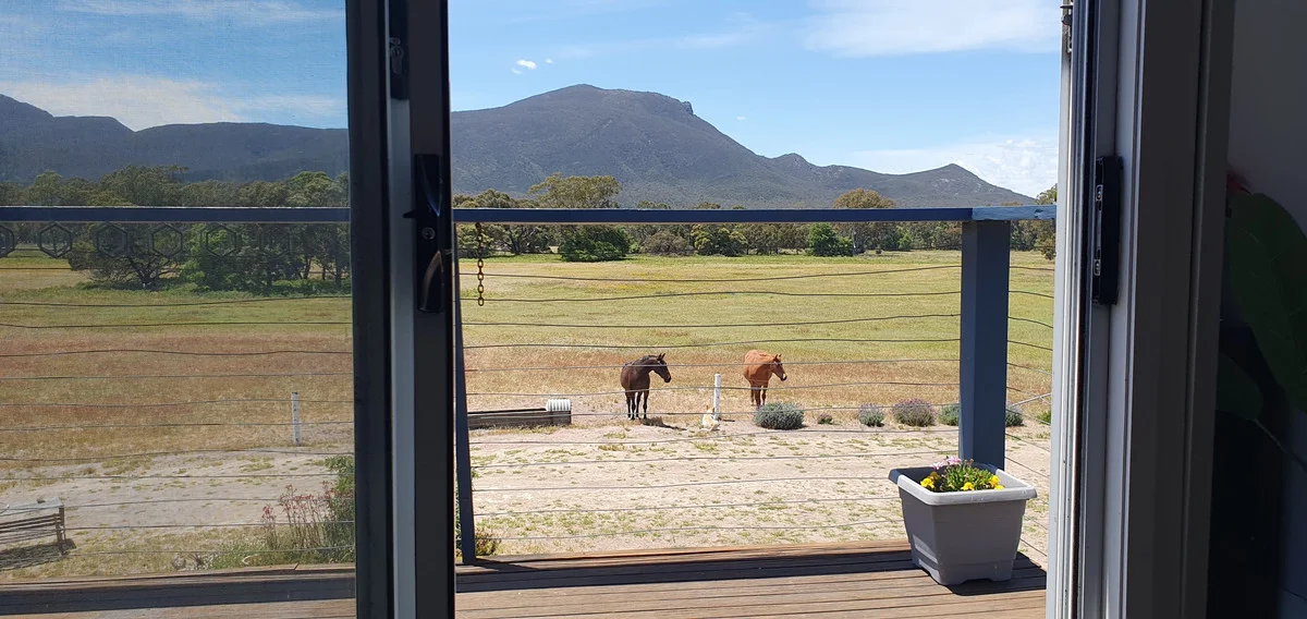 Additional image 28 of 857 Bundol Road, Victoria Valley VIC 3294