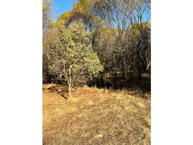 Additional image 29 of 964 Dobaderry Road, Beverley WA 6304