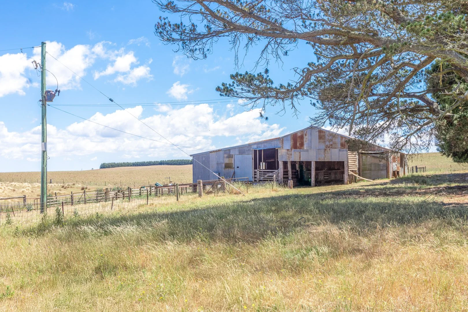 Additional image 3 of 77 Aerodrome Road, Bombala NSW 2632