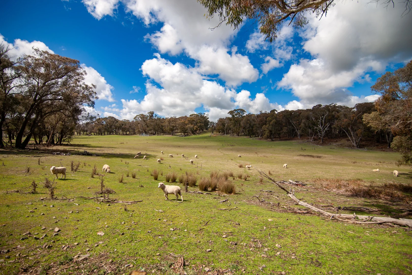 Additional image 24 of 6906 Boorowa Road, Lost River NSW 2583