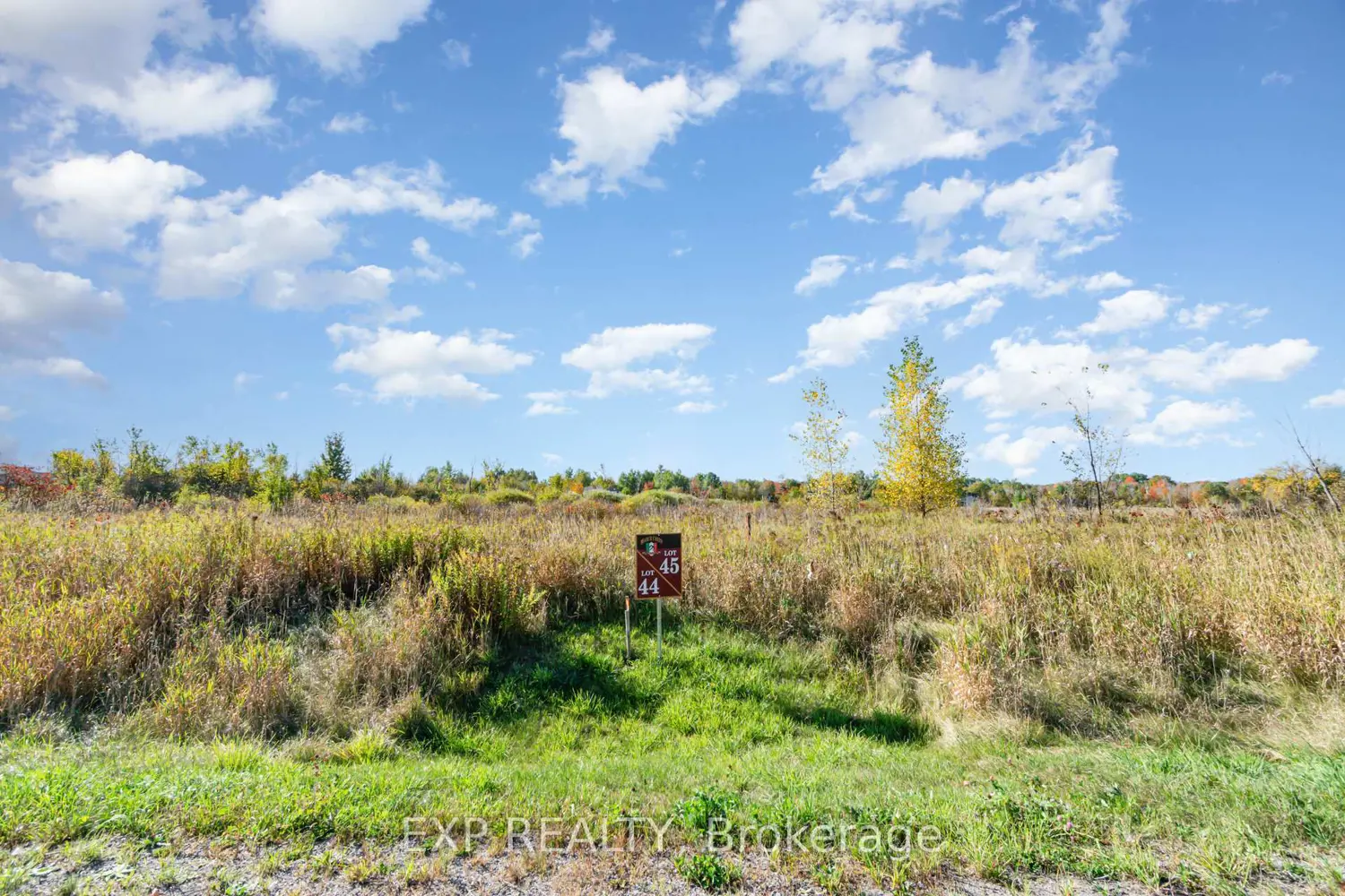 Additional image 3 of 31 Synergy Way