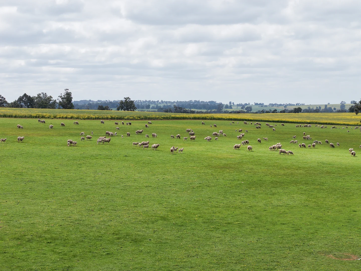 Additional image 14 of 495 Narlingup Road, Qualeup WA 6394