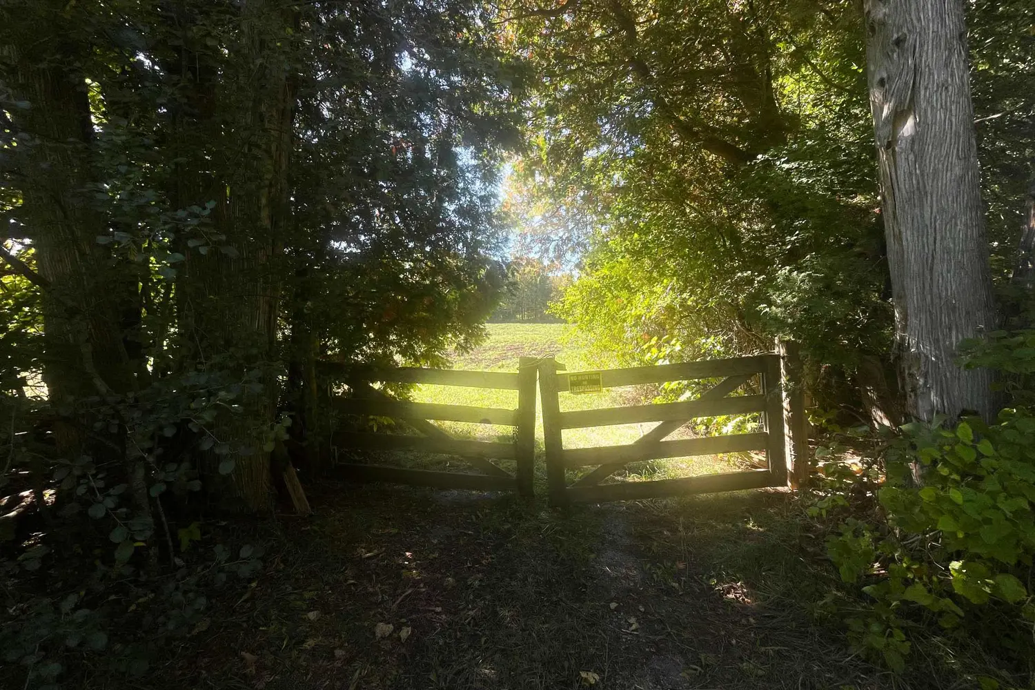 Additional image 4 of 00 Jamieson Road Lot C