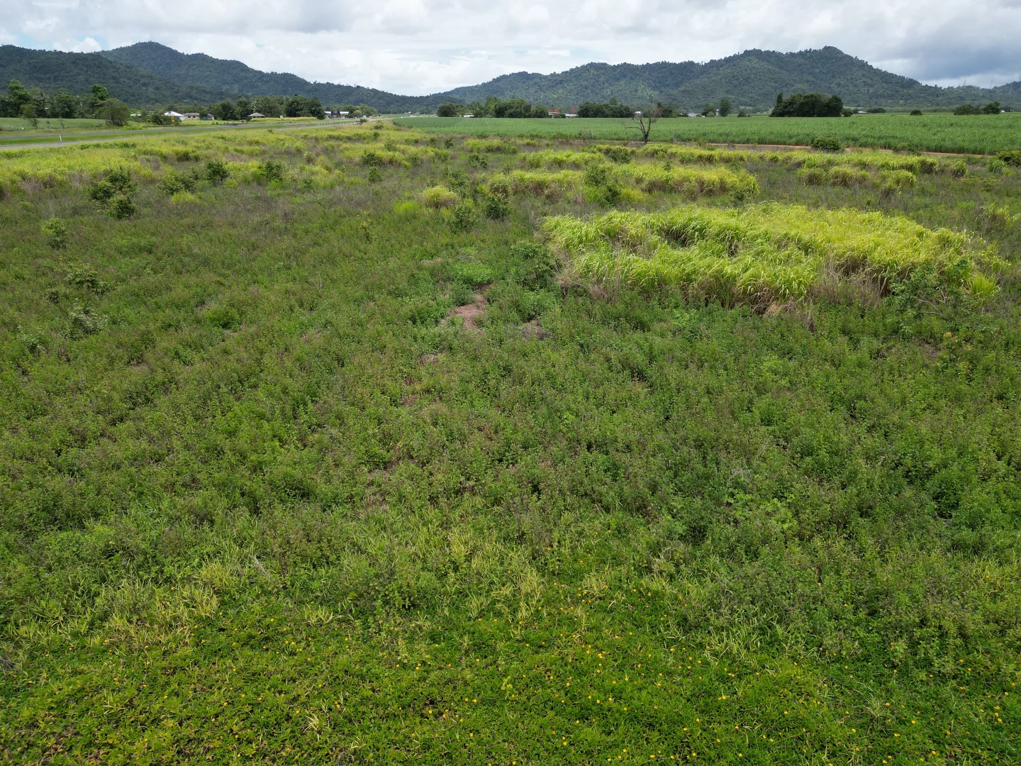 Additional image 9 of 155 Bruce Highway, Feluga QLD 4854