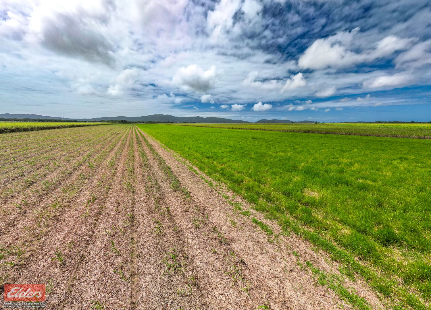 Additional image 16 of 318 Mourilyan Harbour Road, Mourilyan QLD 4858