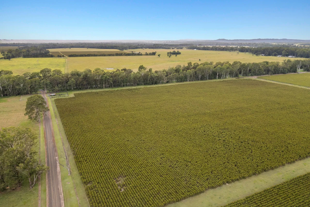 Additional image 40 of 8855 Summerland Way, Leeville NSW 2470