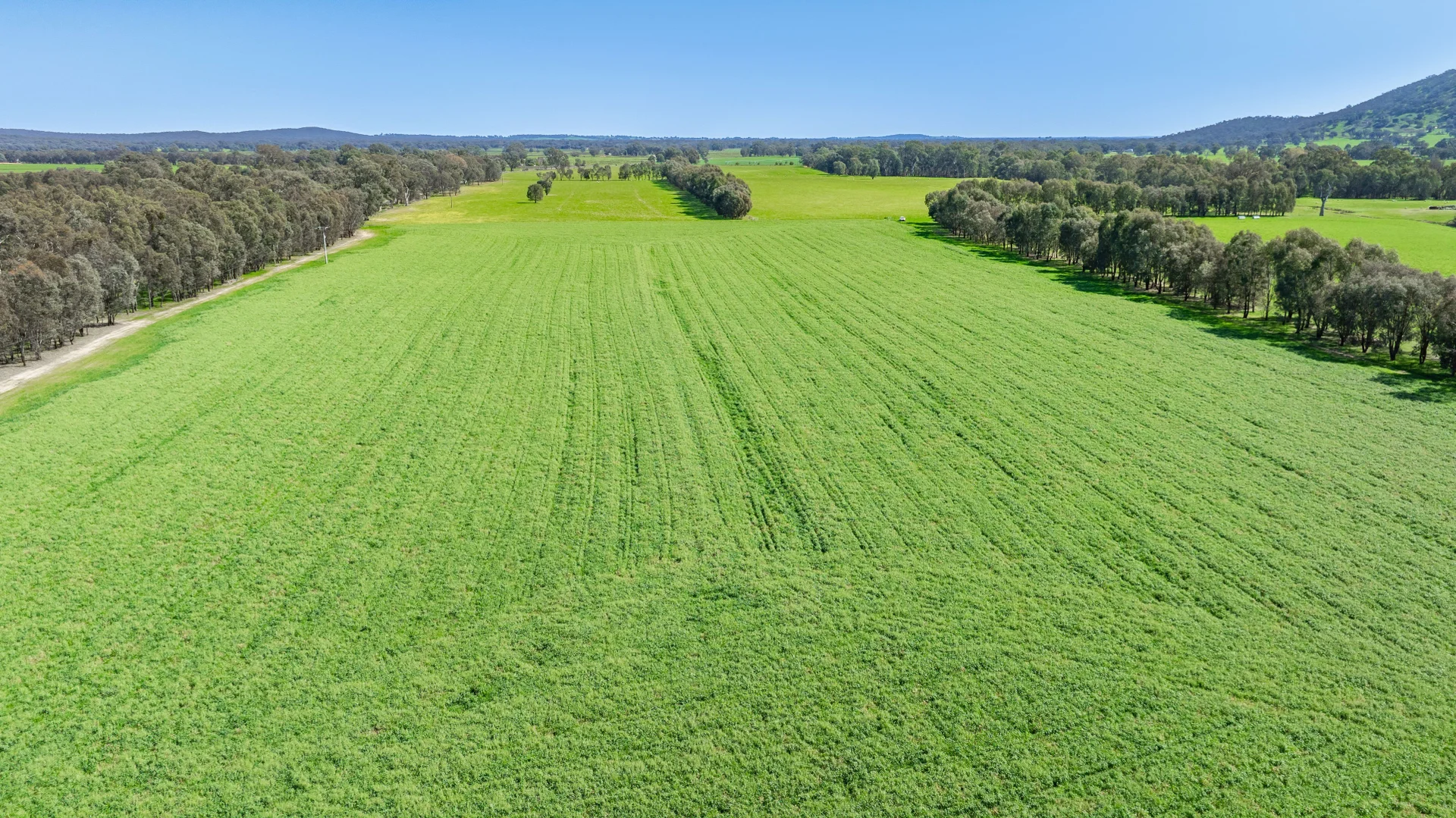 Additional image 6 of 336B Cookinburra Road, Indigo Valley VIC 3688