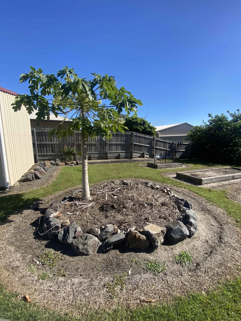 Additional image 5 of 55 Scotland Street, Bundaberg East QLD 4670