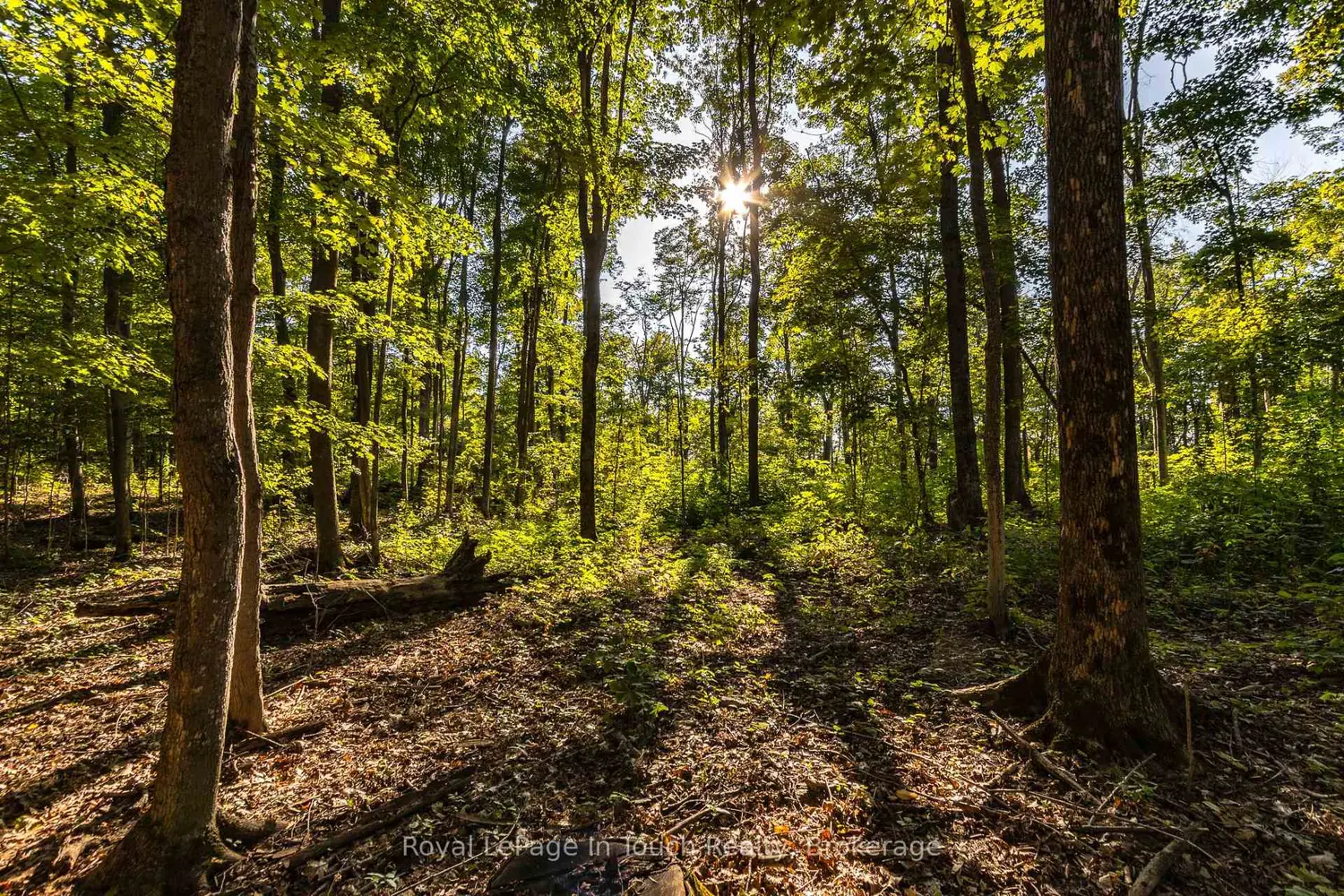 Additional image 6 of Lt 16&17 Nippissing Ridge Road