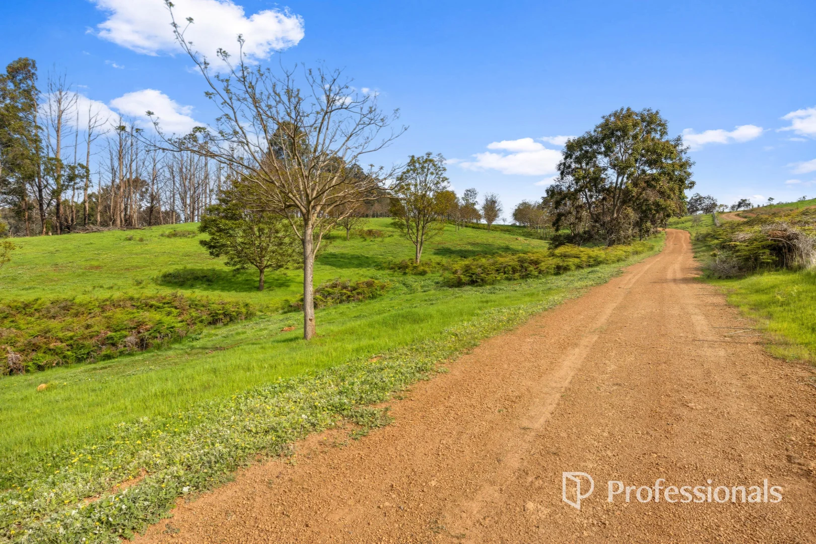 Additional image 27 of 1016 Charley Creek Road, Thomson Brook WA 6239