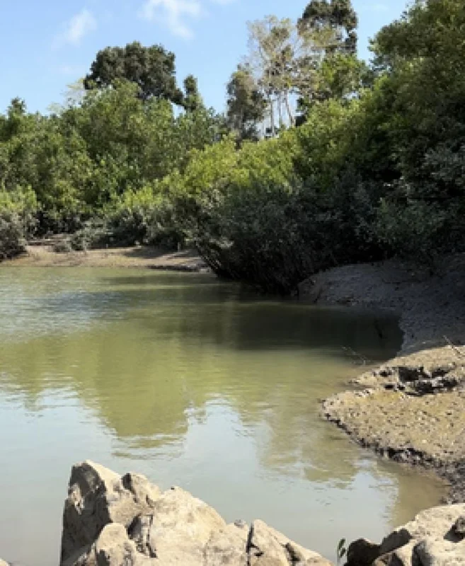 Additional image 5 of 104 Mount Ossa Seaforth Road, Mount Ossa QLD 4741