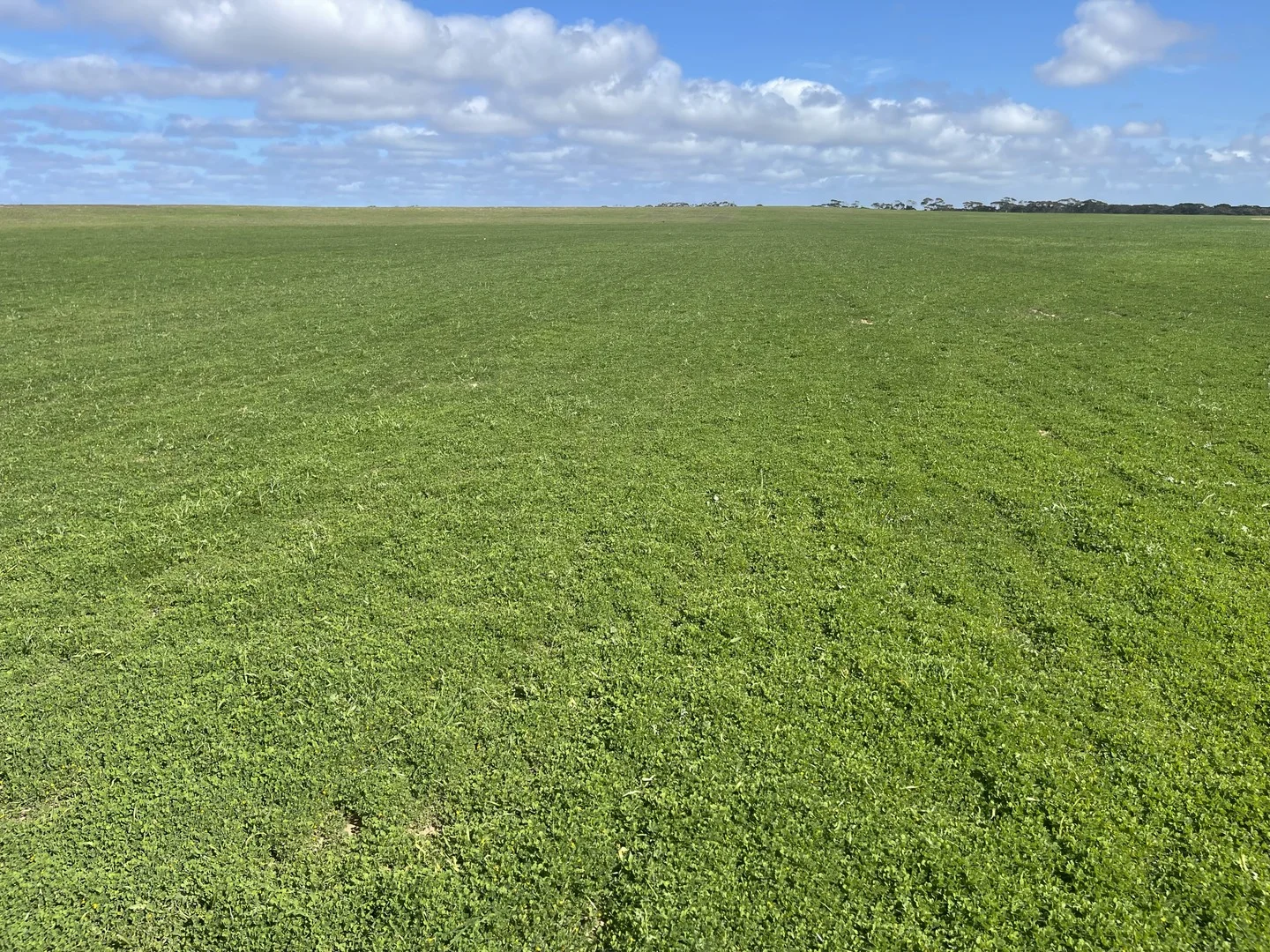 Additional image 2 of Lot 2 Palabie Road, Wudinna SA 5652