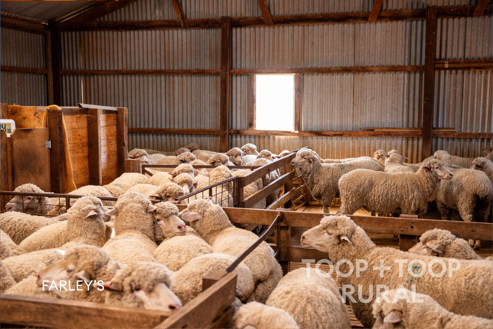 Additional image 18 of Church Road, Copeville SA 5308