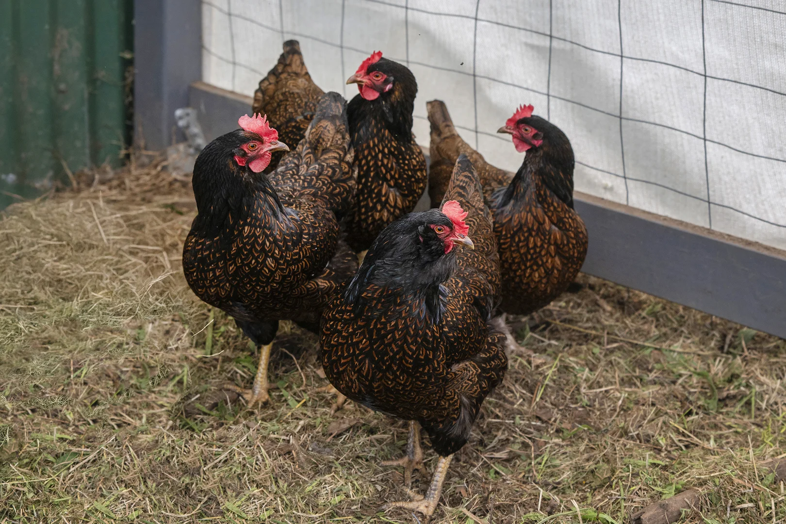 Additional image 19 of 45 Mount Leeuwin Loop Road, Carlotta WA 6275