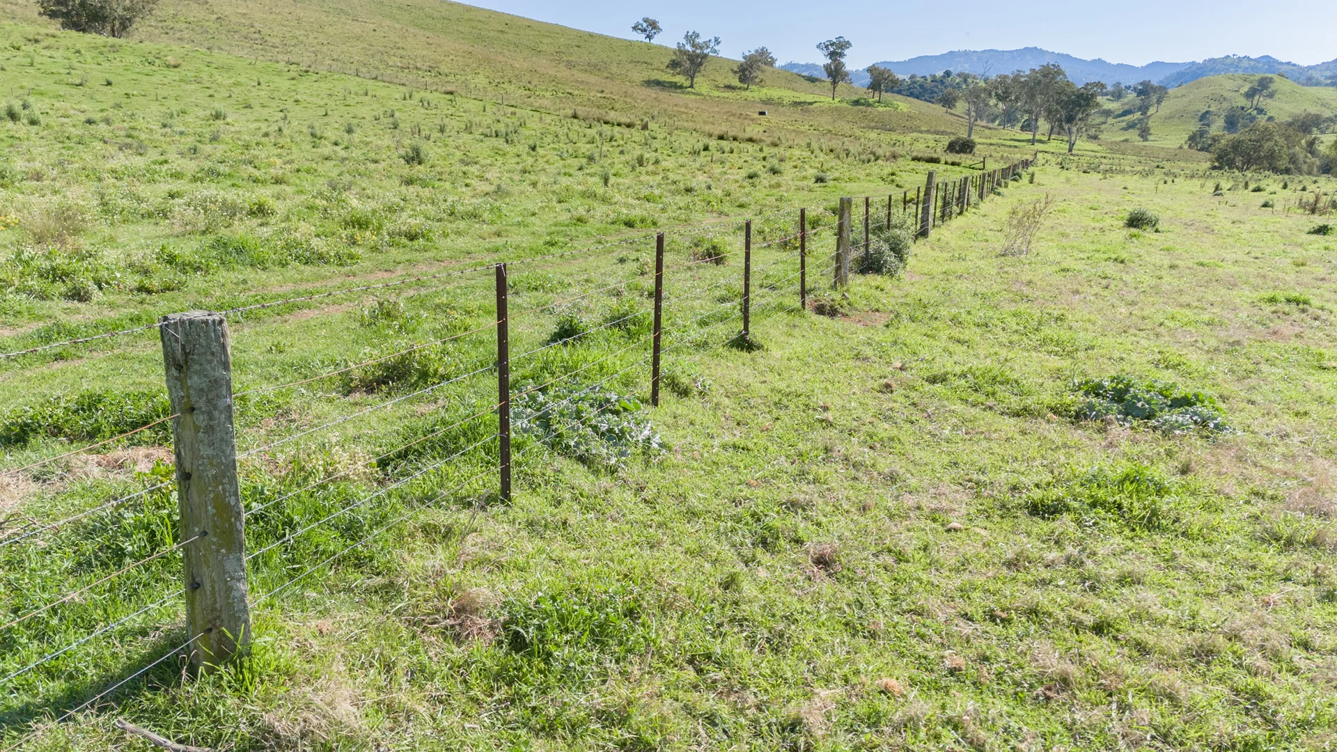 Additional image 15 of 180 Stoney Creek Rd, Rouchel via, Aberdeen NSW 2336