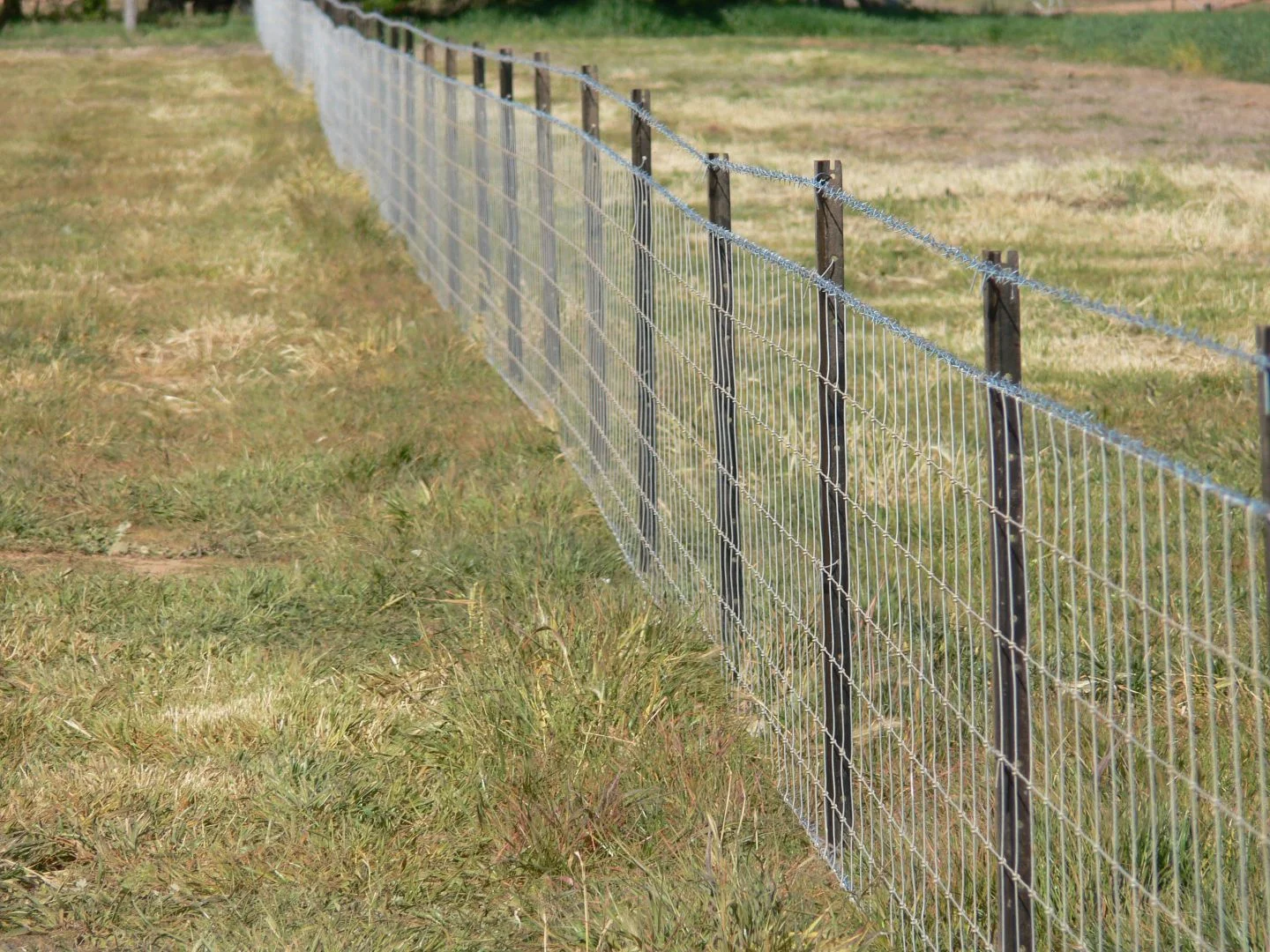 Additional image 7 of 2170 Adelargo Road, Grenfell NSW 2810