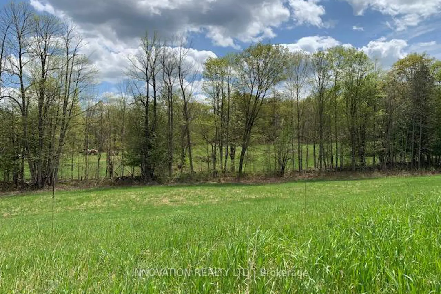 Additional image 5 of 1603 Flower Station Road