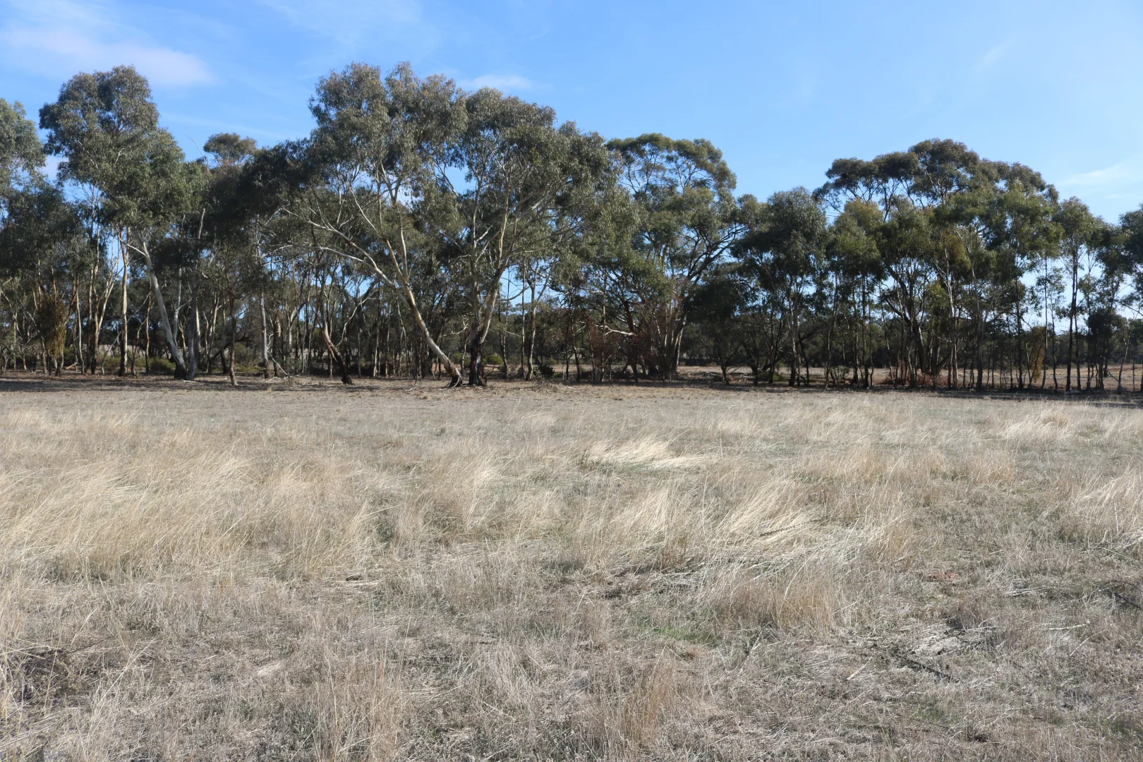 Additional image 10 of Old Boort Road, Wedderburn VIC 3518