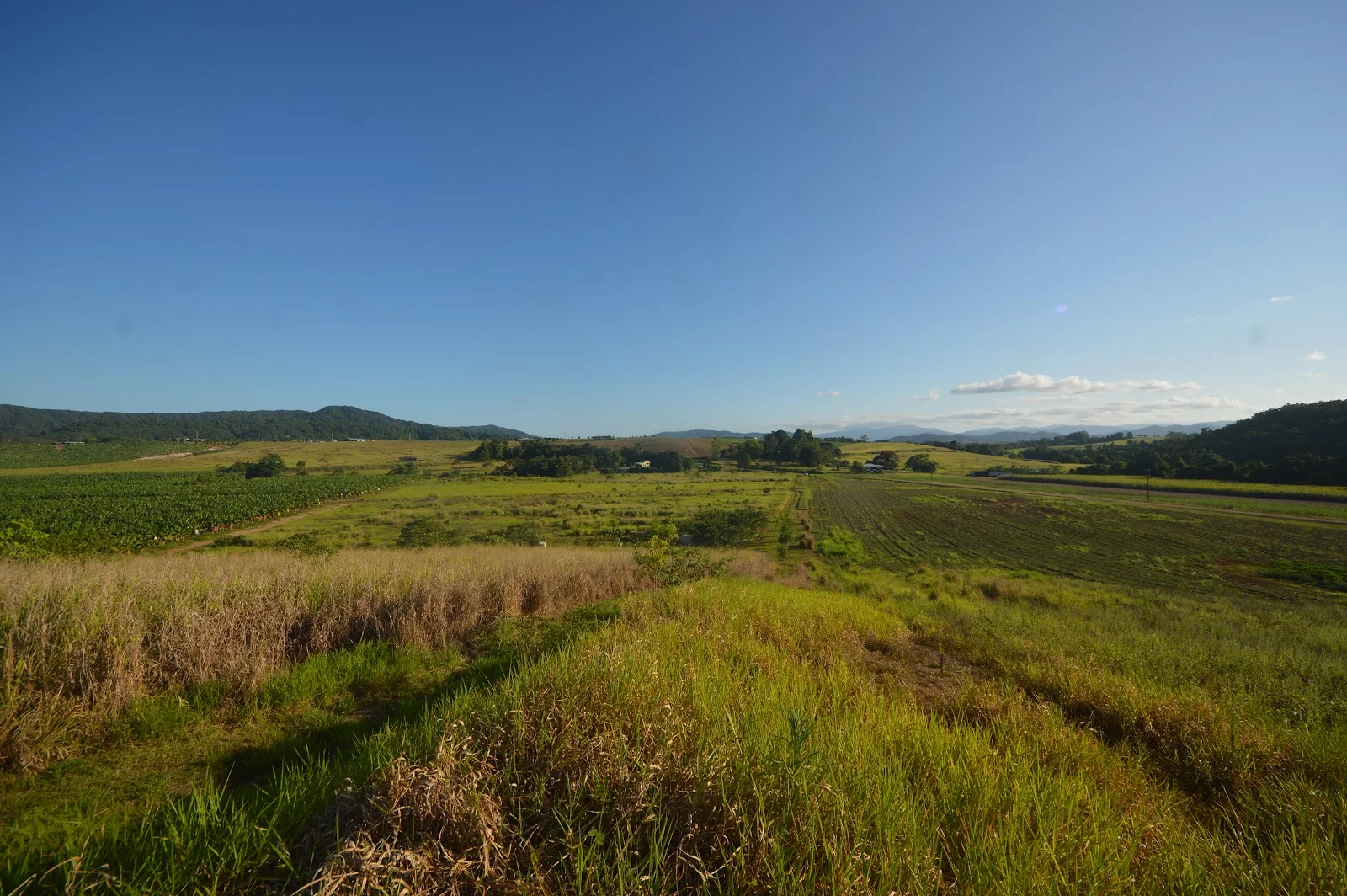 1212 Innisfail Japoon Road, Camp Creek QLD 4871