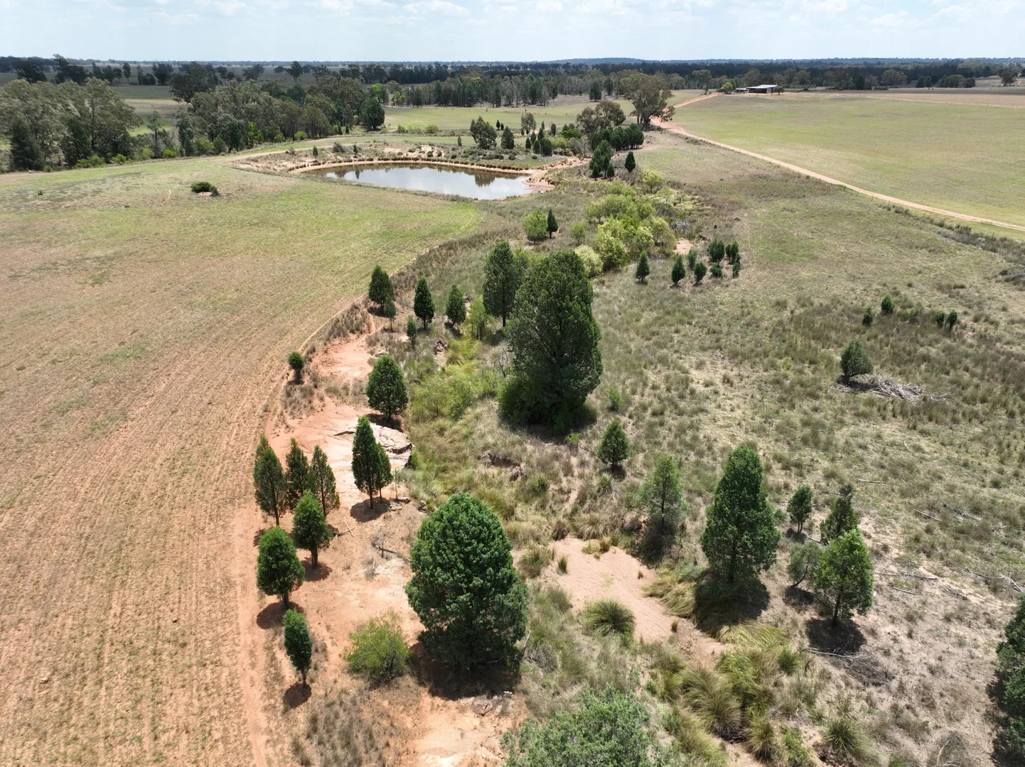 Additional image 13 of 'Illapa' 238L Narromine Road, Dubbo NSW 2830