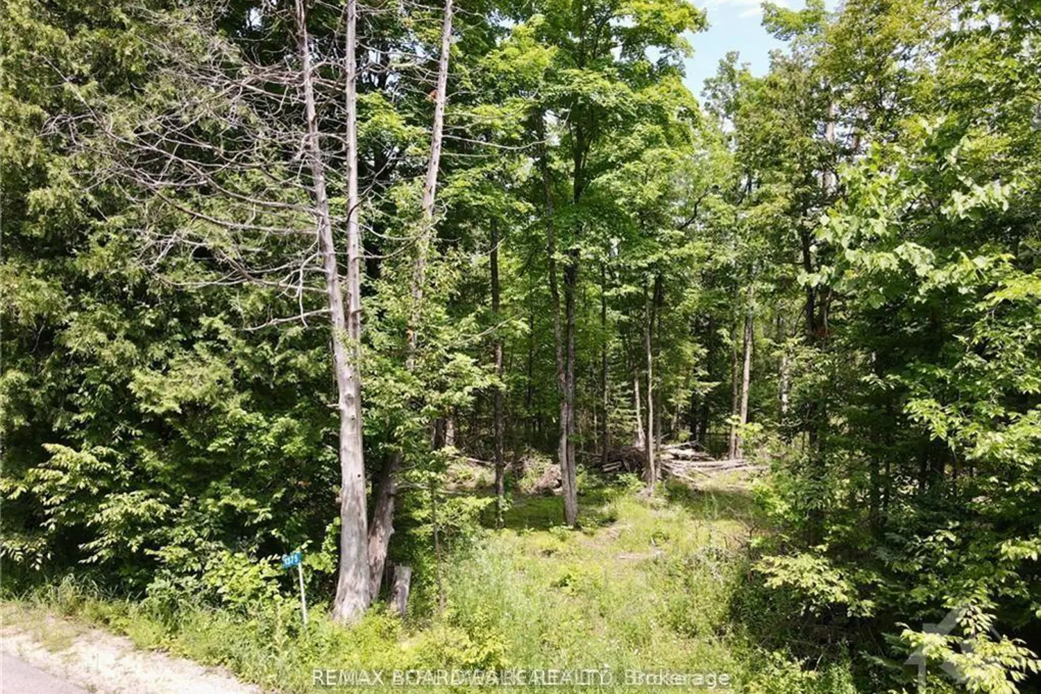 Additional image 4 of 1375 Sheridan Rapids Road