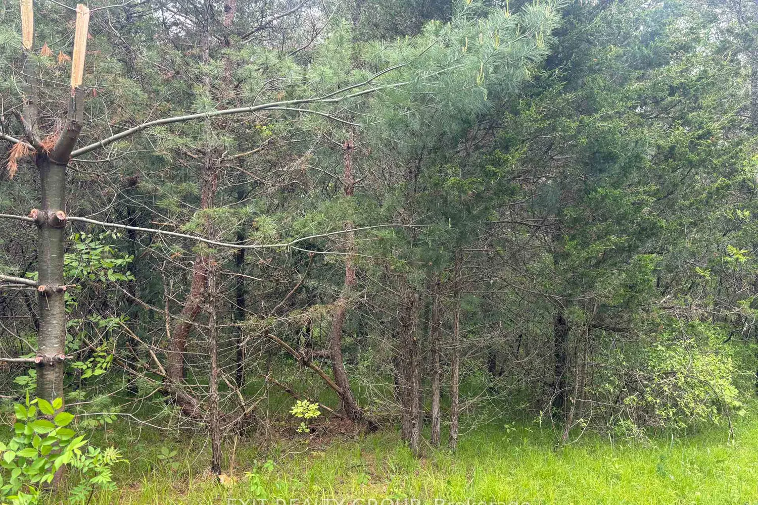 Additional image 10 of 262 Johnston Road