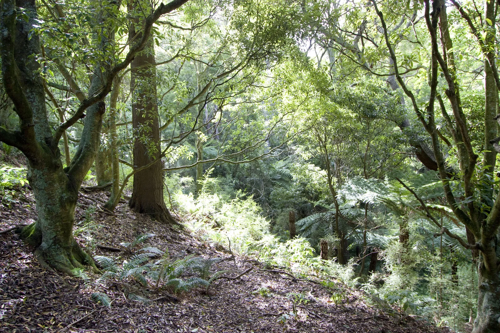 Additional image 8 of 273 Boolarra-Foster Road, Foster VIC 3960