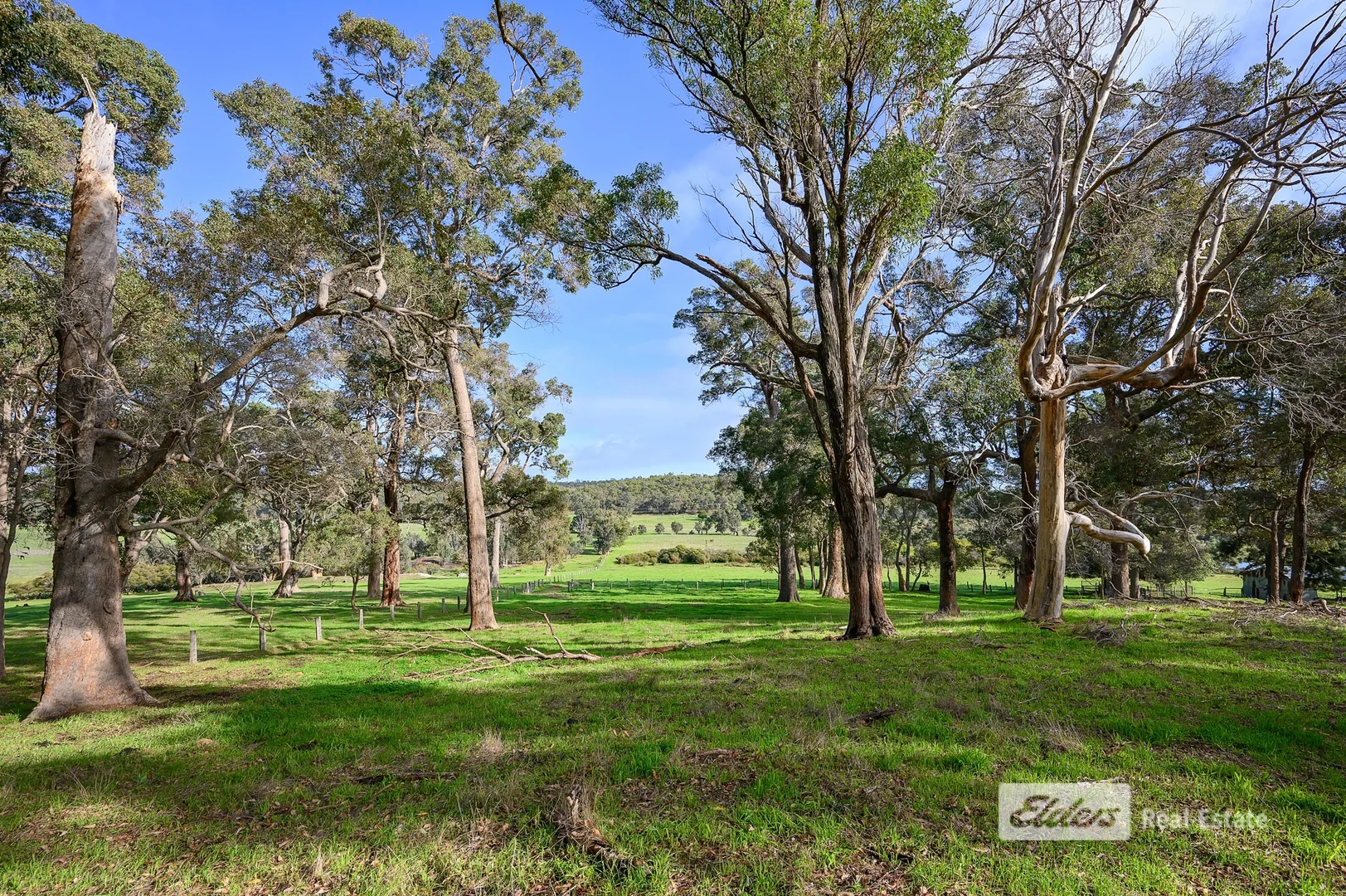 Additional image 11 of 130 | 131 Thomson Street, Donnybrook WA 6239