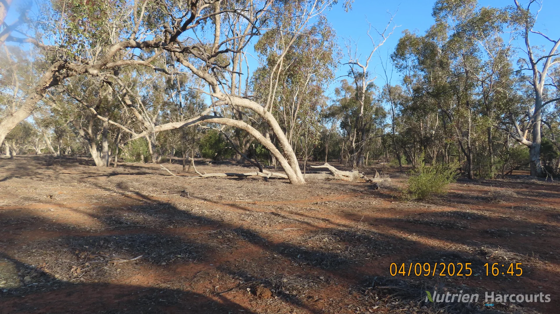 Additional image 5 of * MUD HUT, Bourke NSW 2840