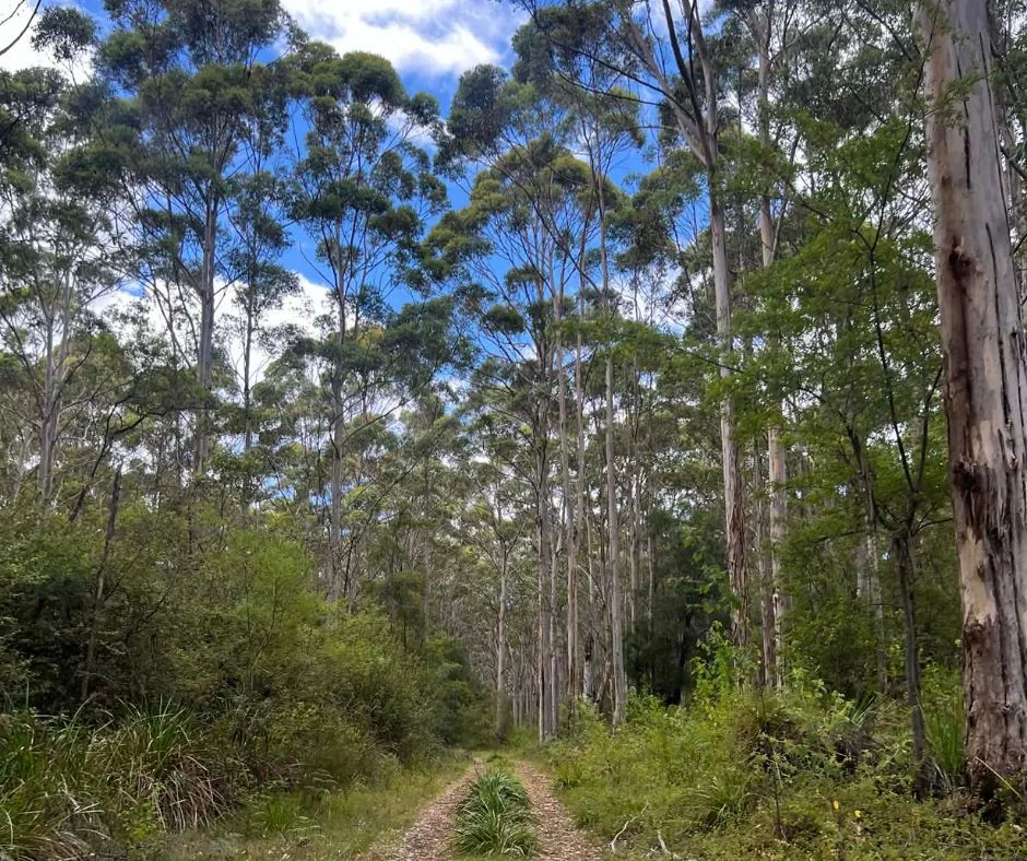 Additional image 21 of 51 Karri Drive, Kentdale WA 6333