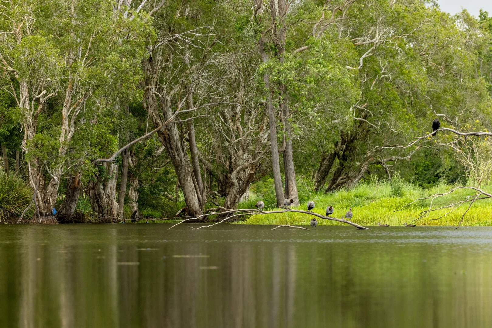 Additional image 15 of 6 Canando Street, Woodford QLD 4514