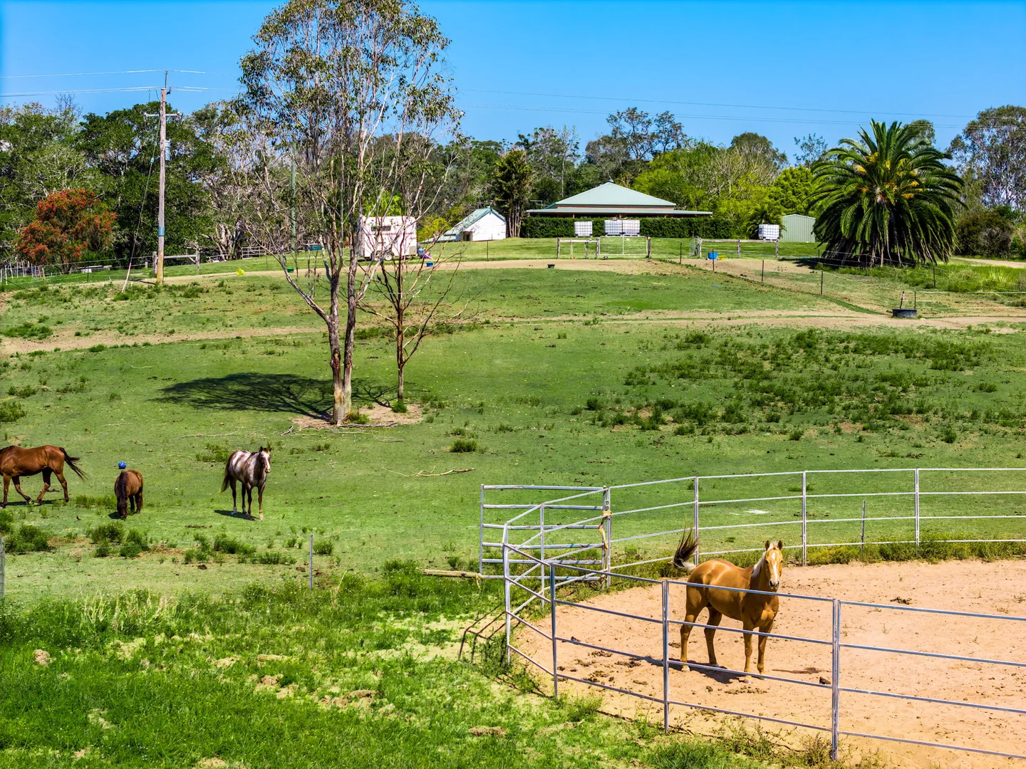 Additional image 40 of 160 Busbys Flat Road, Leeville NSW 2470