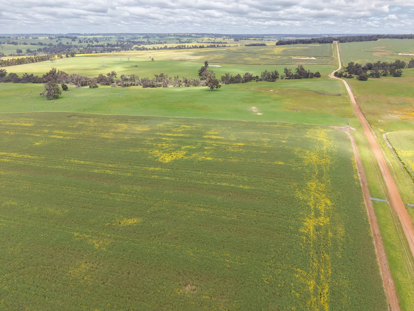 Additional image 17 of 495 Narlingup Road, Qualeup WA 6394