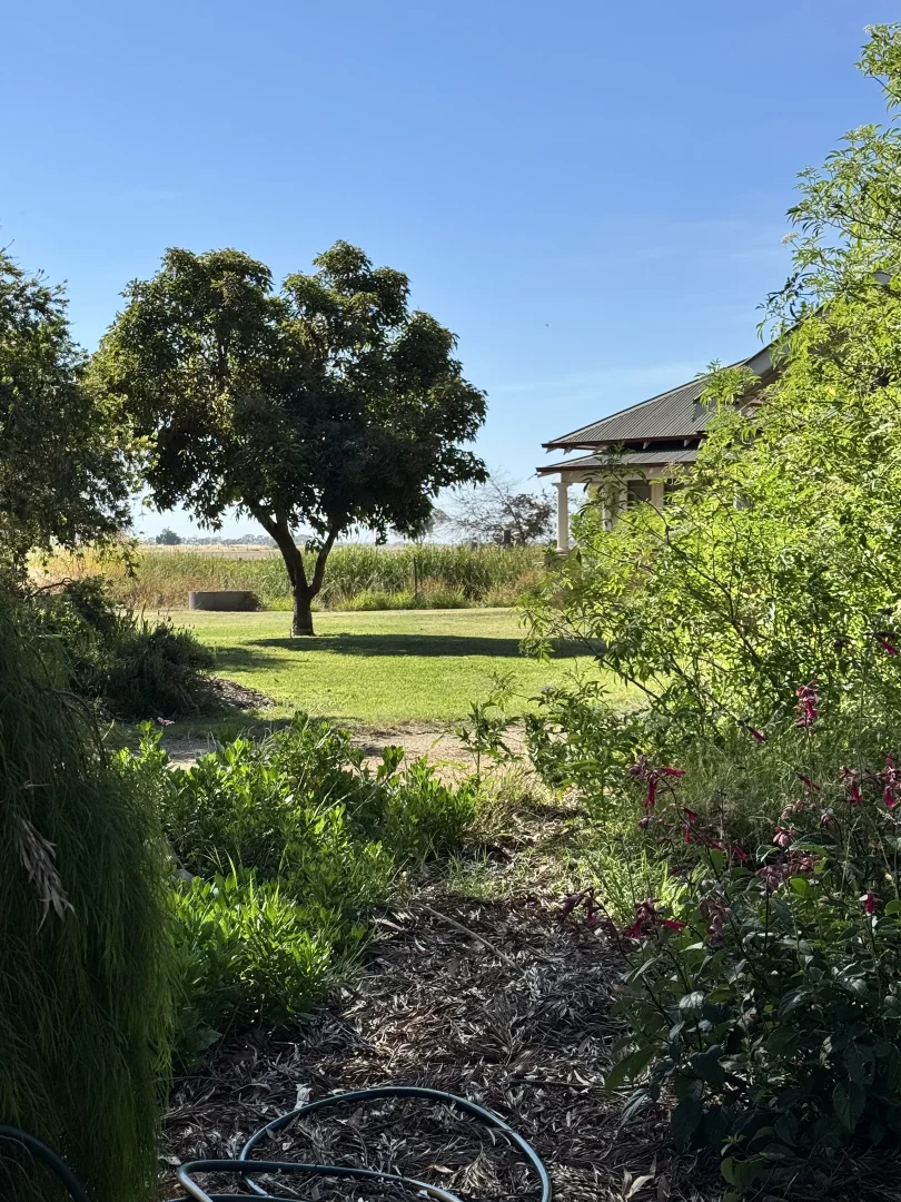 Additional image 54 of 1909 Echuca-Mitiamo Road, Kotta VIC 3565