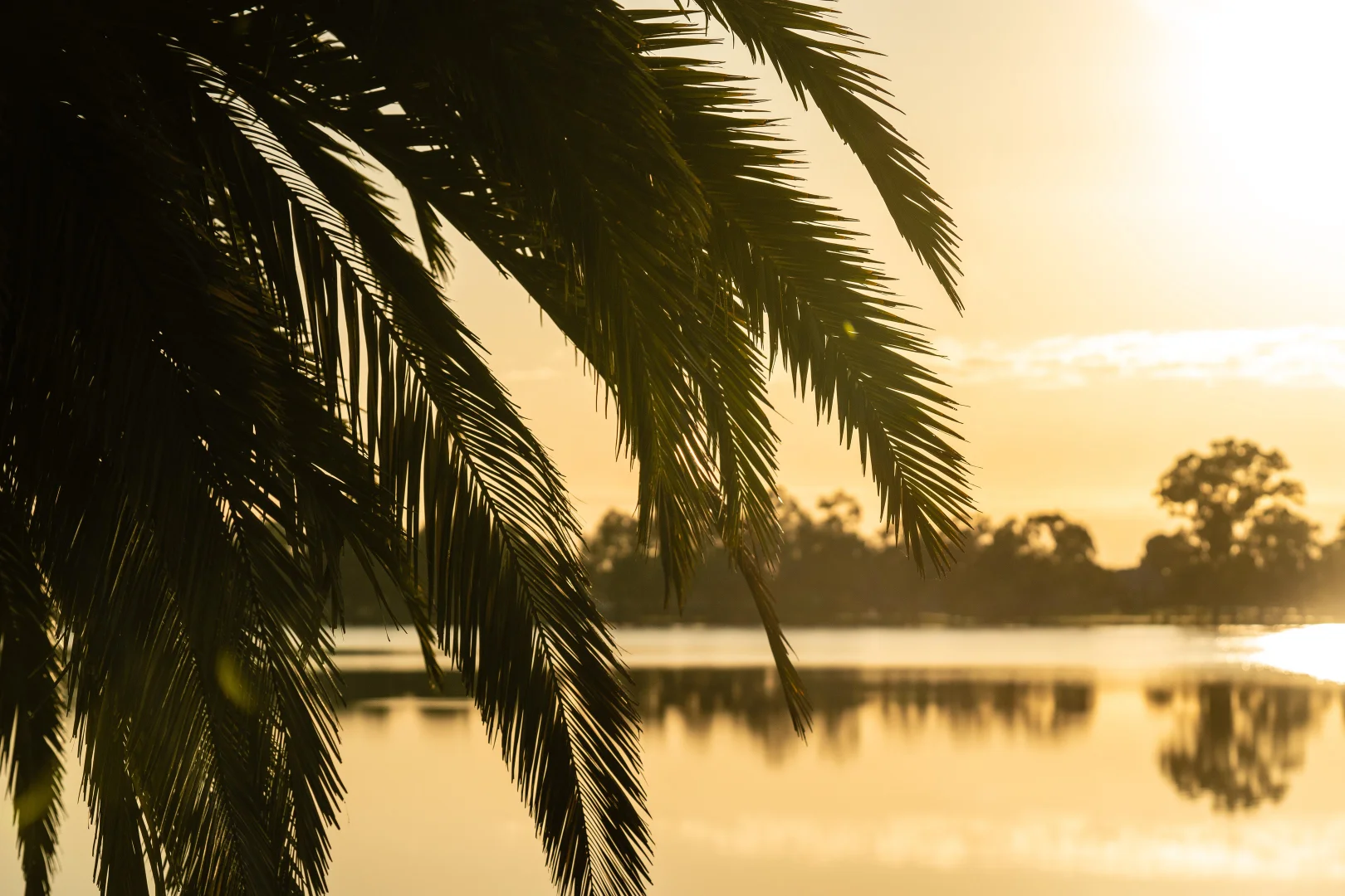 Additional image 6 of 327 Cnr Carabeen Road & Geebung Loop, Lake Albert NSW 2650