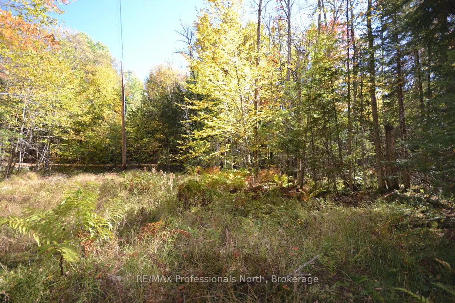 Additional image 18 of 0 Clive Trail