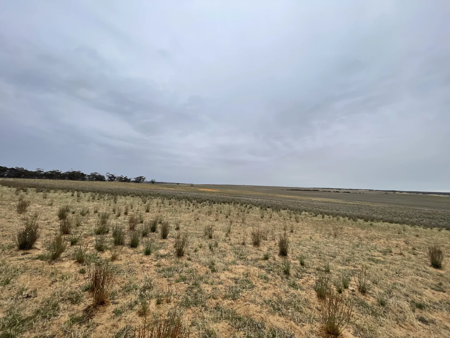 Additional image 18 of 2440 Black Hill Road, Black Hill SA 5353