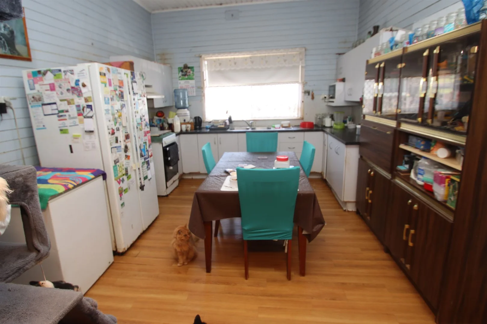 Additional image 5 of 24 Molesworth Street, Tenterfield NSW 2372