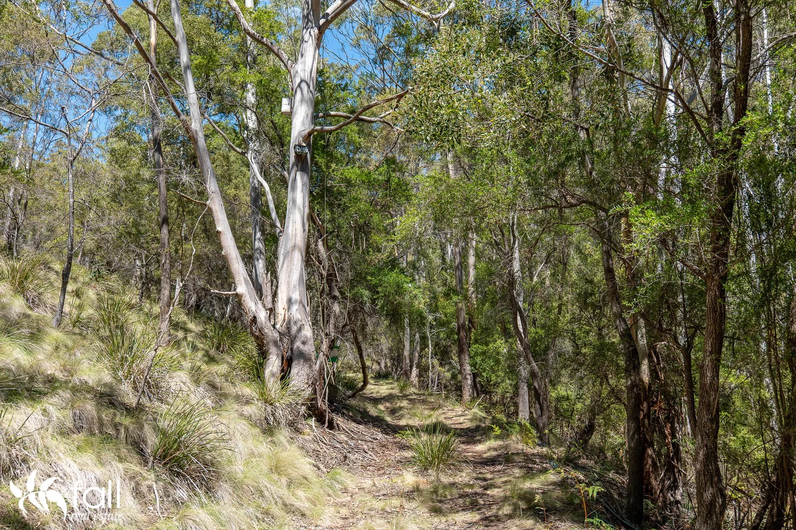 Additional image 22 of 402 Bruny Island Main Road, North Bruny TAS 7150