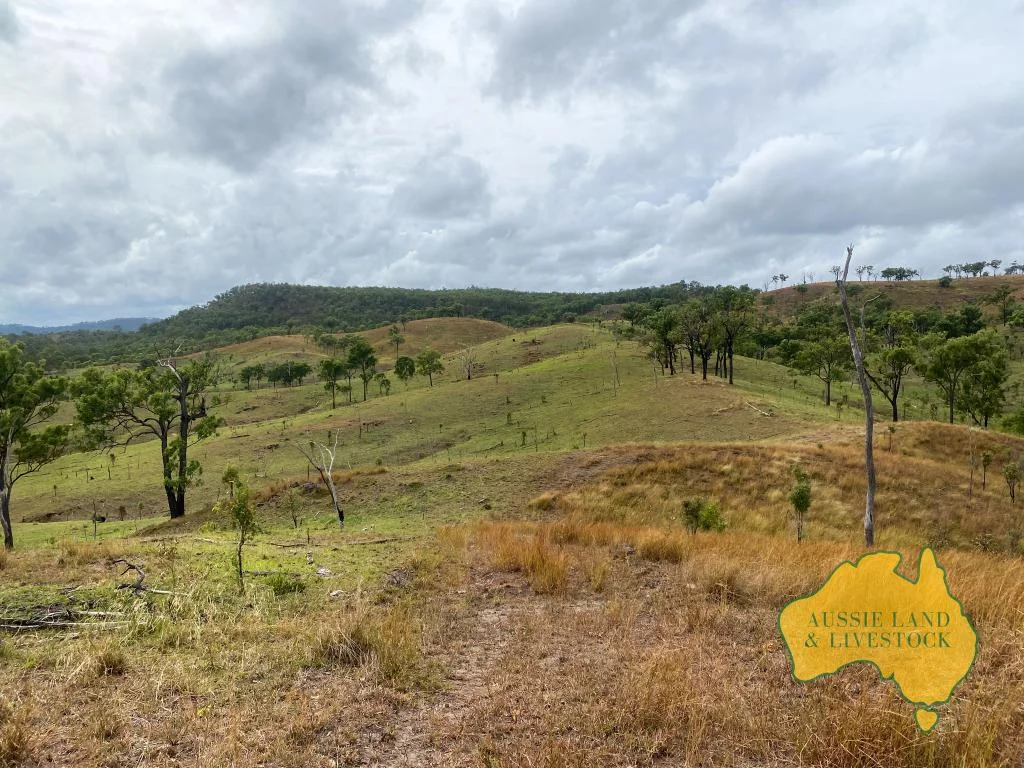 Additional image 4 of 59 MUNGY ROAD, Mungy QLD 4671