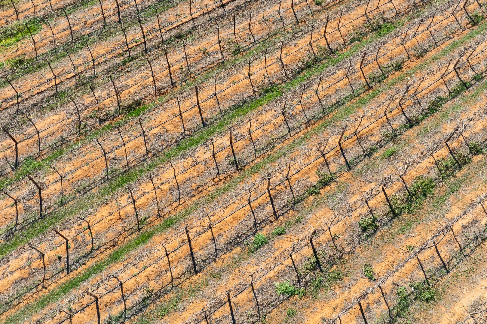 Additional image 10 of Lot 1 Morgan Road, Barmera SA 5345