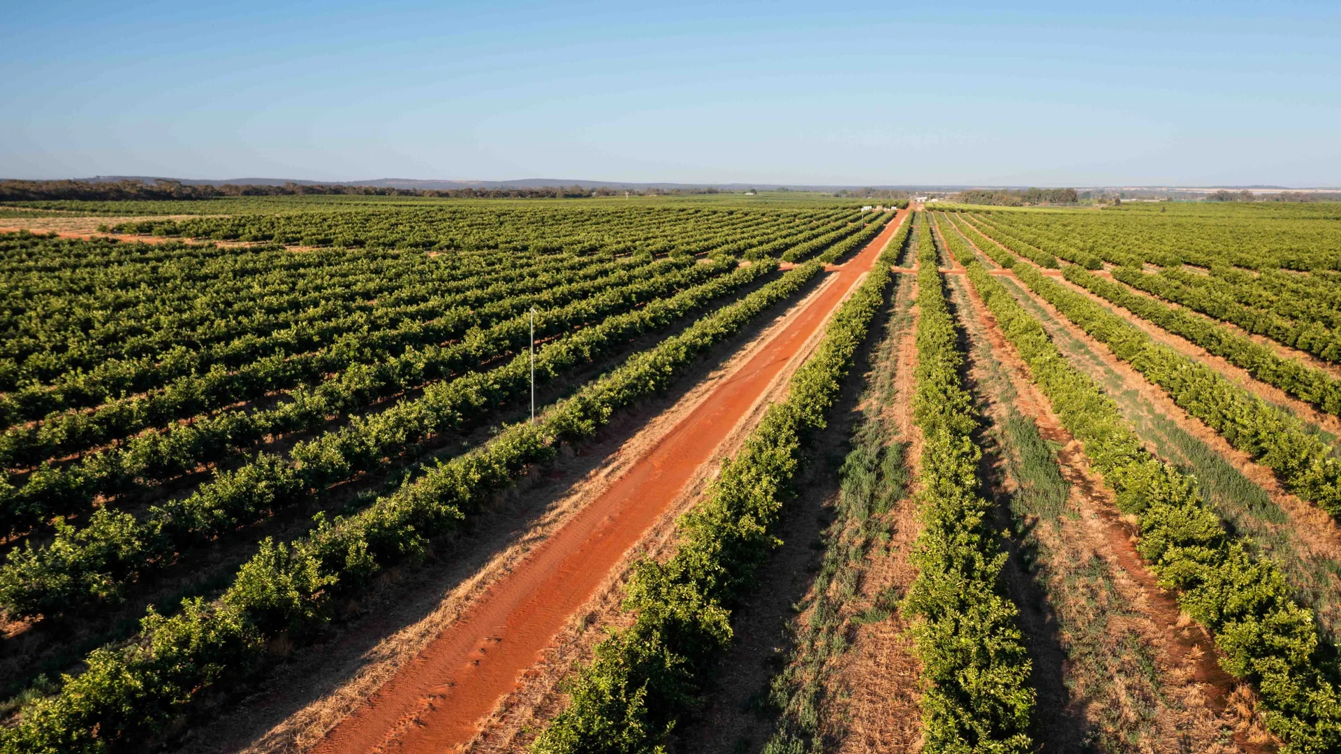 Additional image 5 of Nericon NSW 2680