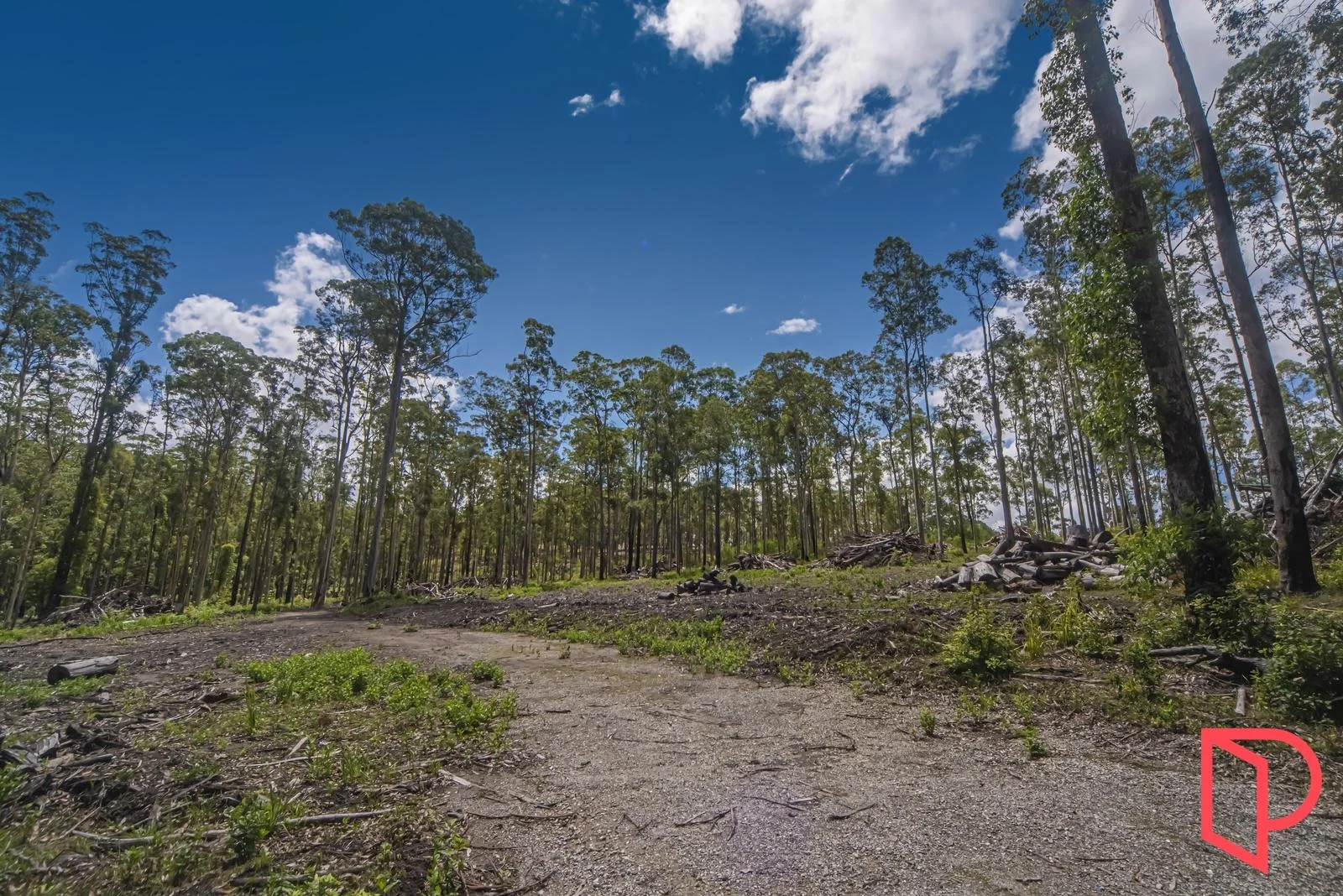 Additional image 12 of 42 Turpentine Road, Tomerong NSW 2540