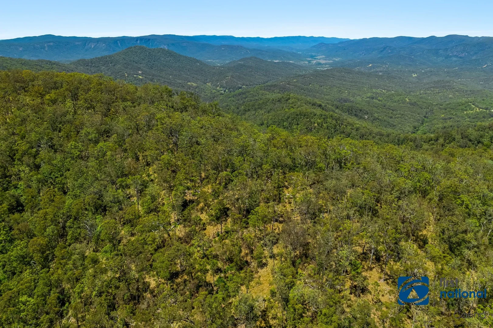 Additional image 17 of Lot 8 Long Gully Road, Drake NSW 2469