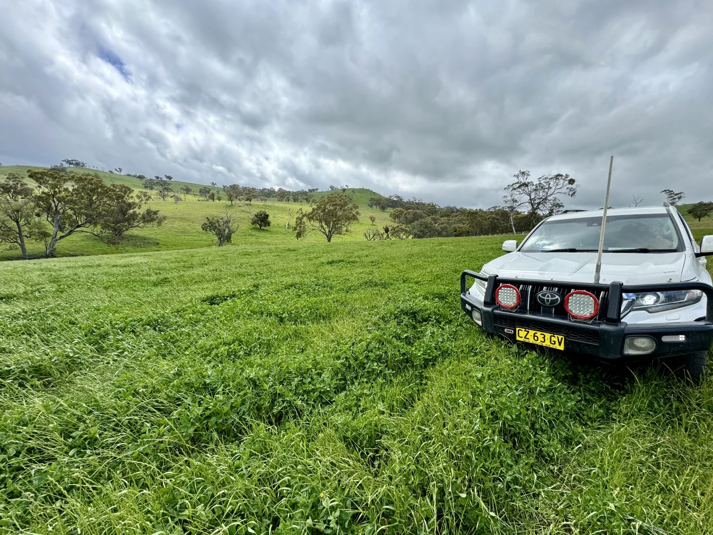 Additional image 10 of "Jemalong" 263 Collier Road, Coolah NSW 2843